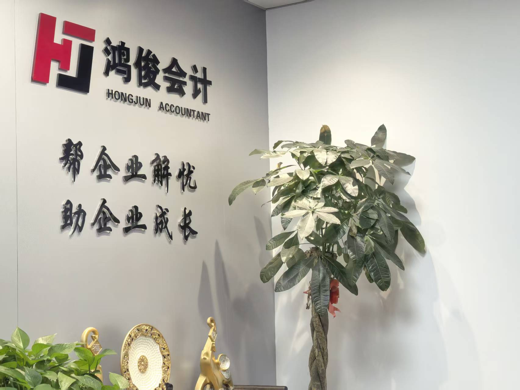 鸿俊团队